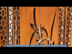 オーダーメイド 厚さ 現代 耐天候 鋼製 スクリーン パネル シート OEM / ODM