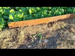 Cortenの芝生のエッジングを研ぐ1SGS 000mm*1.6mm*100mm電流を通されたCortenの鋼鉄ボーダー